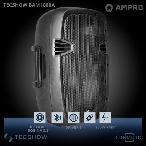 TECSHOW BAM 1000A (BAM-10A) 250W RMS